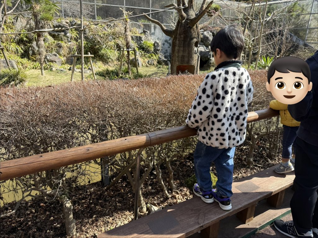 動物を見ている