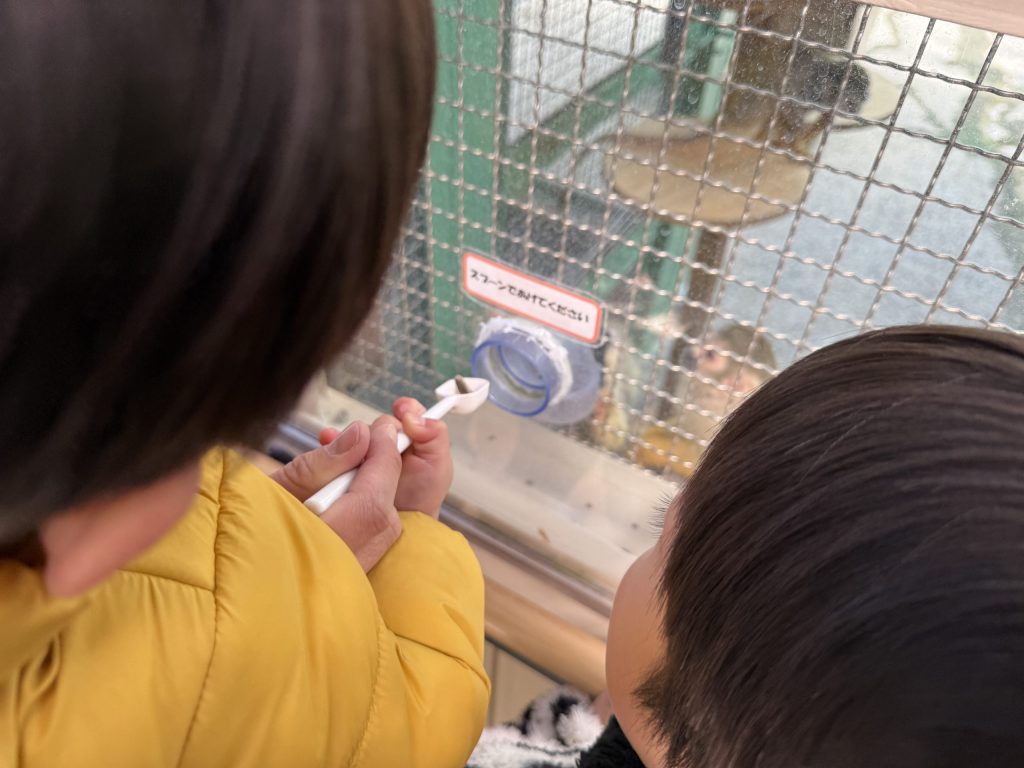 富士サファリパーク餌やり