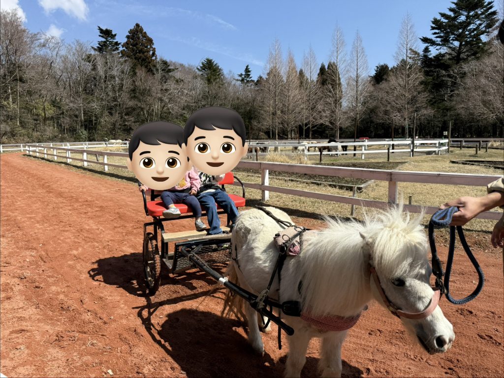 富士サファリパークポニー乗車