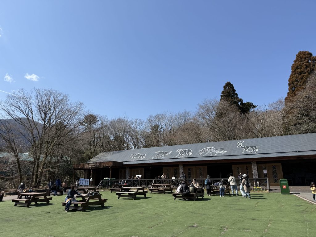 富士サファリパークベンチ